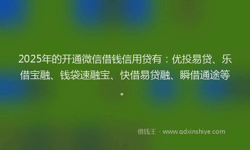 2025年的开通微信借钱信用贷有：优投易贷、乐借宝融、钱袋速融宝、快借易贷融、瞬借通途等。