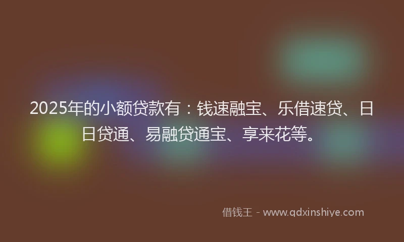 2025年的小额贷款有：钱速融宝、乐借速贷、日日贷通、易融贷通宝、享来花等。