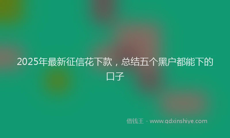 2025年最新征信花下款，总结五个黑户都能下的口子
