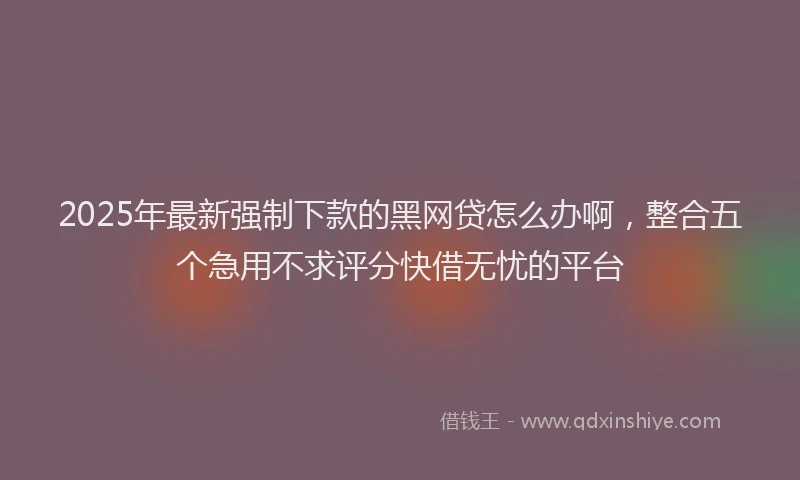 2025年最新强制下款的黑网贷怎么办啊，整合五个急用不求评分快借无忧的平台