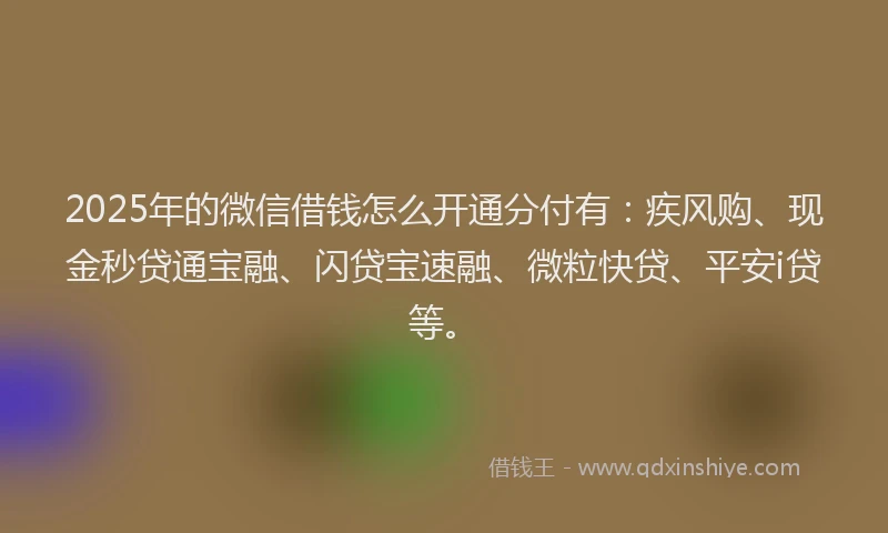 2025年的微信借钱怎么开通分付有：疾风购、现金秒贷通宝融、闪贷宝速融、微粒快贷、平安i贷等。