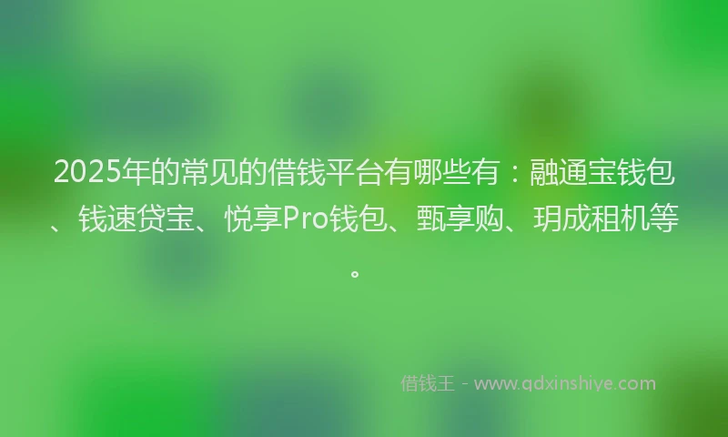 2025年的常见的借钱平台有哪些有：融通宝钱包、钱速贷宝、悦享Pro钱包、甄享购、玥成租机等。