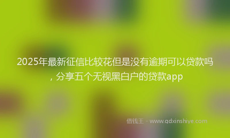 2025年最新征信比较花但是没有逾期可以贷款吗，分享五个无视黑白户的贷款app