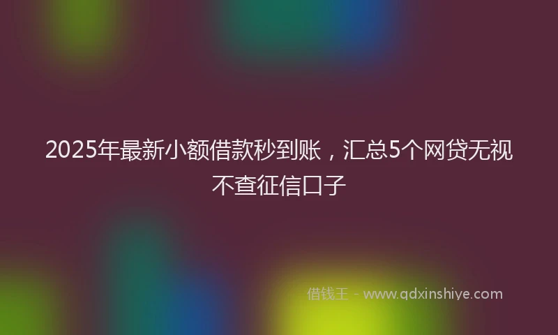 2025年最新小额借款秒到账，汇总5个网贷无视不查征信口子
