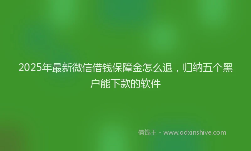 2025年最新微信借钱保障金怎么退，归纳五个黑户能下款的软件