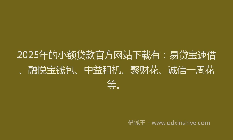 2025年的小额贷款官方网站下载有：易贷宝速借、融悦宝钱包、中益租机、聚财花、诚信一周花等。