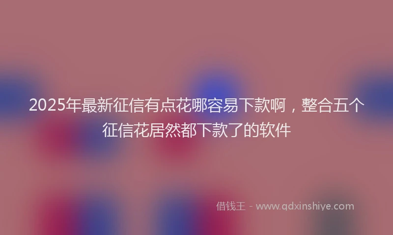 2025年最新征信有点花哪容易下款啊，整合五个征信花居然都下款了的软件