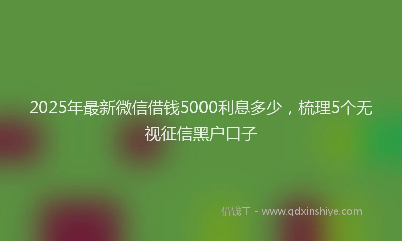 2025年最新微信借钱5000利息多少，梳理5个无视征信黑户口子