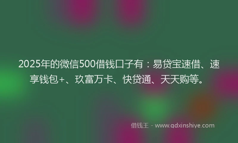 2025年的微信500借钱口子有：易贷宝速借、速享钱包+、玖富万卡、快贷通、天天购等。