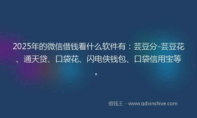 2025年的微信借钱看什么软件有：芸豆分-芸豆花、通天贷、口袋花、闪电侠钱包、口袋信用宝等。