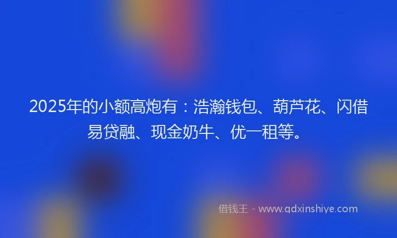 2025年的小额高炮有：浩瀚钱包、葫芦花、闪借易贷融、现金奶牛、优一租等。