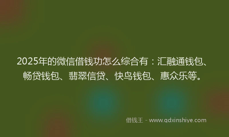 2025年的微信借钱功怎么综合有：汇融通钱包、畅贷钱包、翡翠信贷、快鸟钱包、惠众乐等。