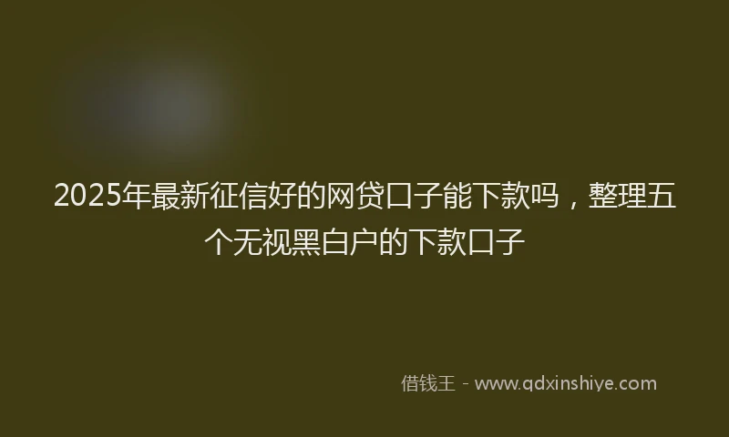 2025年最新征信好的网贷口子能下款吗，整理五个无视黑白户的下款口子