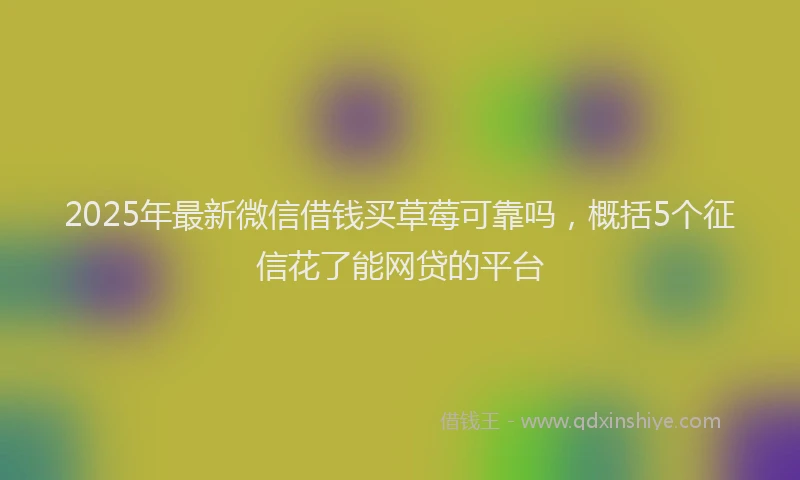 2025年最新微信借钱买草莓可靠吗，概括5个征信花了能网贷的平台
