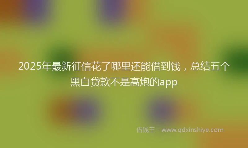 2025年最新征信花了哪里还能借到钱，总结五个黑白贷款不是高炮的app
