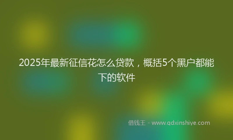 2025年最新征信花怎么贷款，概括5个黑户都能下的软件