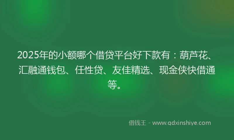 2025年的小额哪个借贷平台好下款有：葫芦花、汇融通钱包、任性贷、友佳精选、现金侠快借通等。