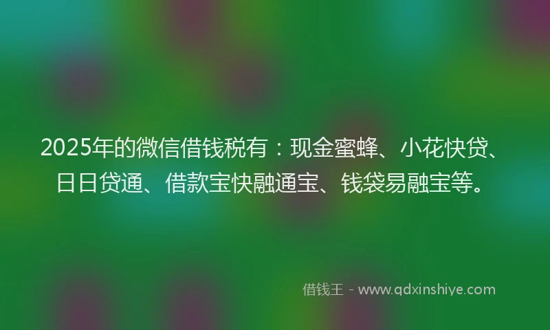 2025年的微信借钱税有：现金蜜蜂、小花快贷、日日贷通、借款宝快融通宝、钱袋易融宝等。