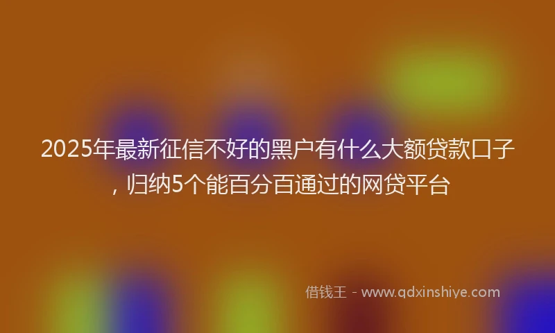 2025年最新征信不好的黑户有什么大额贷款口子，归纳5个能百分百通过的网贷平台