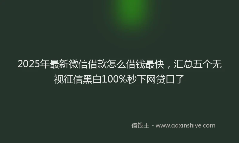 2025年最新微信借款怎么借钱最快，汇总五个无视征信黑白100%秒下网贷口子