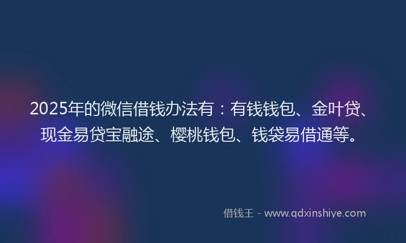 2025年的微信借钱办法有：有钱钱包、金叶贷、现金易贷宝融途、樱桃钱包、钱袋易借通等。