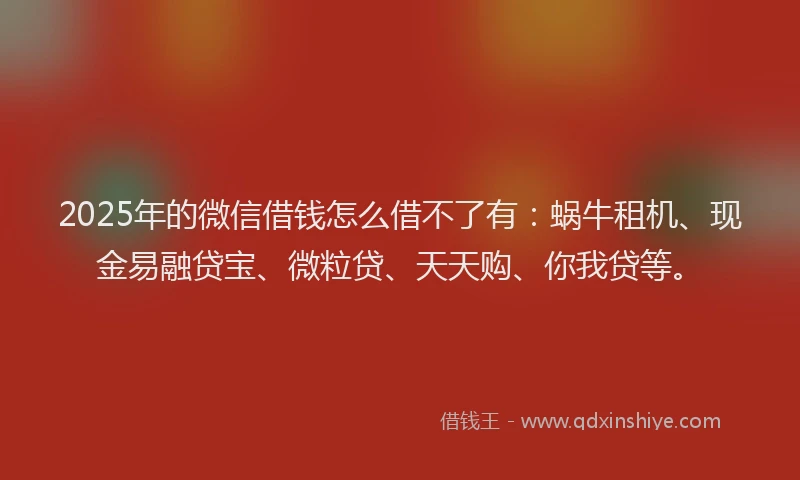 2025年的微信借钱怎么借不了有：蜗牛租机、现金易融贷宝、微粒贷、天天购、你我贷等。