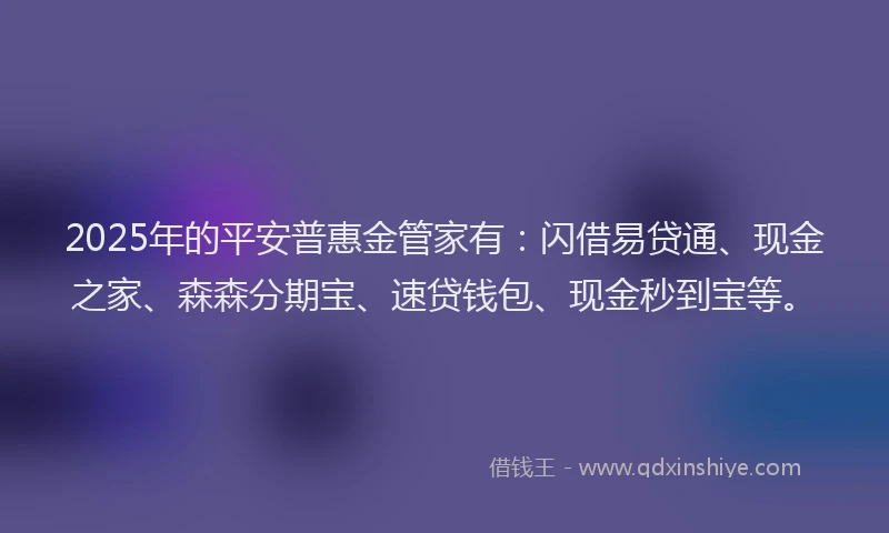 2025年的平安普惠金管家有：闪借易贷通、现金之家、森森分期宝、速贷钱包、现金秒到宝等。