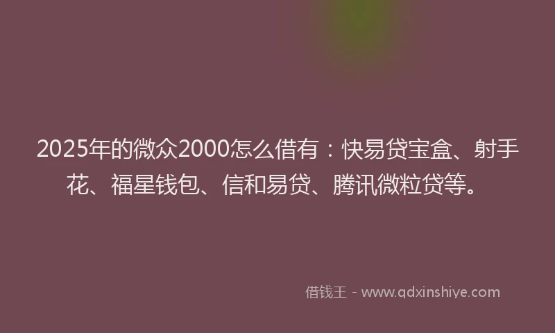 2025年的微众2000怎么借有：快易贷宝盒、射手花、福星钱包、信和易贷、腾讯微粒贷等。