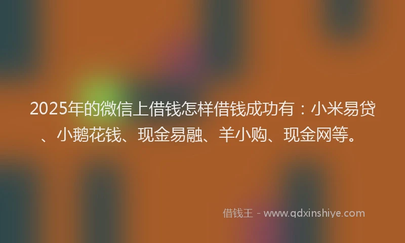 2025年的微信上借钱怎样借钱成功有：小米易贷、小鹅花钱、现金易融、羊小购、现金网等。