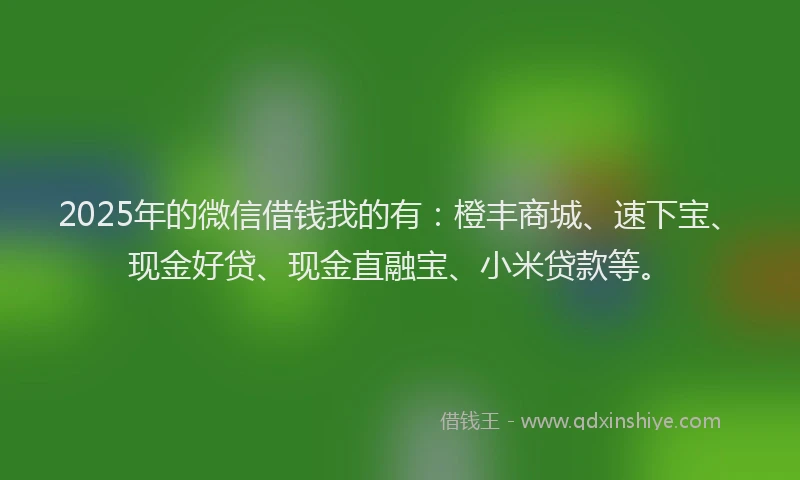 2025年的微信借钱我的有：橙丰商城、速下宝、现金好贷、现金直融宝、小米贷款等。
