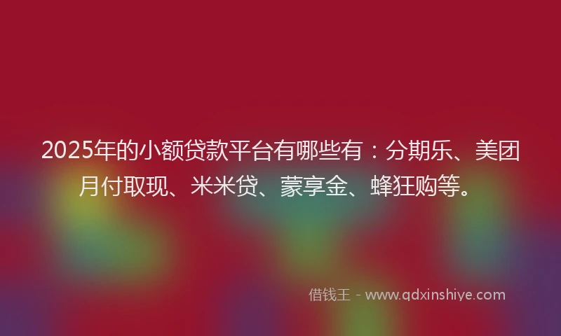 2025年的小额贷款平台有哪些有：分期乐、美团月付取现、米米贷、蒙享金、蜂狂购等。