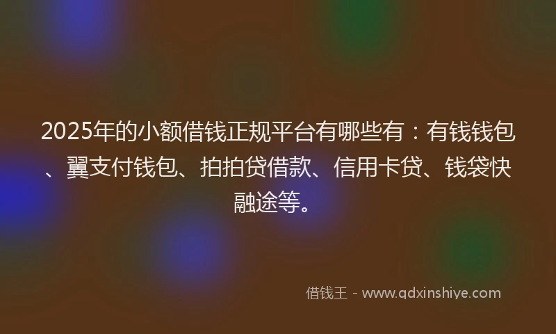 2025年的小额借钱正规平台有哪些有：有钱钱包、翼支付钱包、拍拍贷借款、信用卡贷、钱袋快融途等。