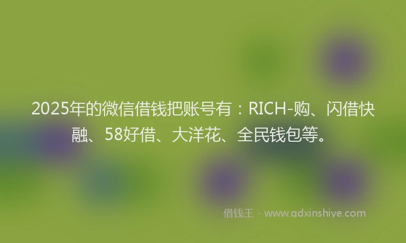 2025年的微信借钱把账号有：RICH-购、闪借快融、58好借、大洋花、全民钱包等。