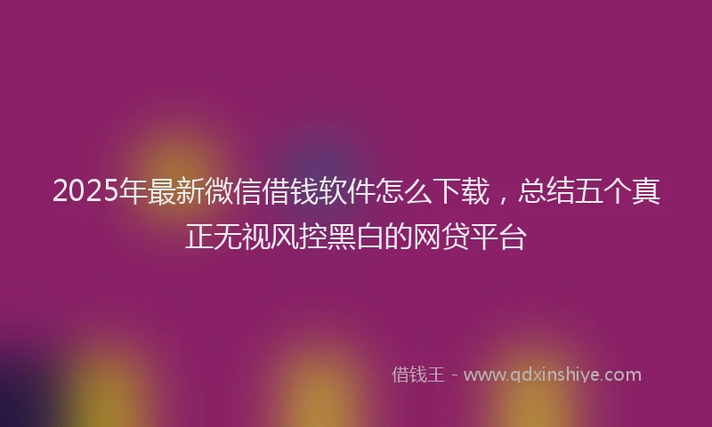 2025年最新微信借钱软件怎么下载，总结五个真正无视风控黑白的网贷平台