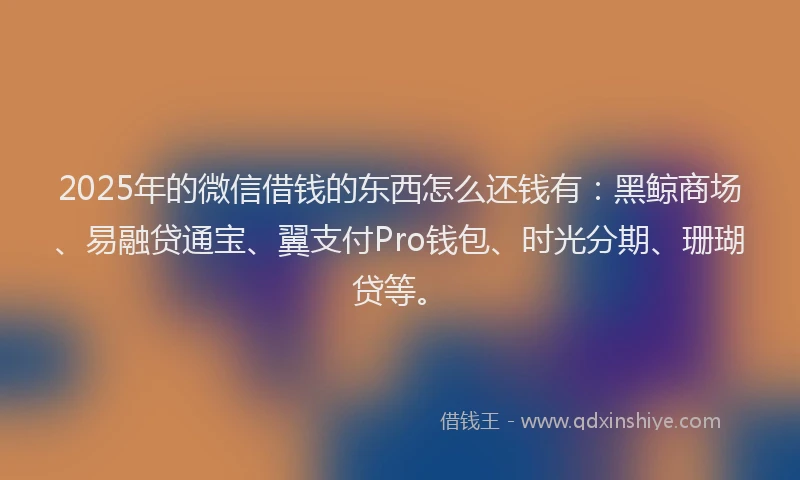 2025年的微信借钱的东西怎么还钱有：黑鲸商场、易融贷通宝、翼支付Pro钱包、时光分期、珊瑚贷等。
