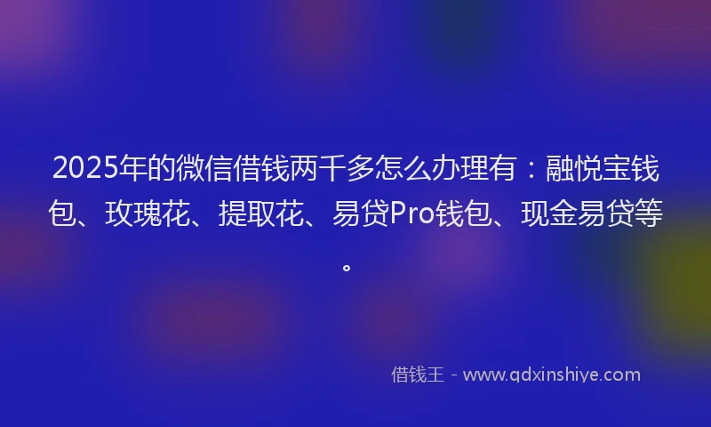 2025年的微信借钱两千多怎么办理有：融悦宝钱包、玫瑰花、提取花、易贷Pro钱包、现金易贷等。