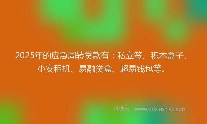 2025年的应急周转贷款有：私立签、积木盒子、小安租机、易融贷盒、超易钱包等。