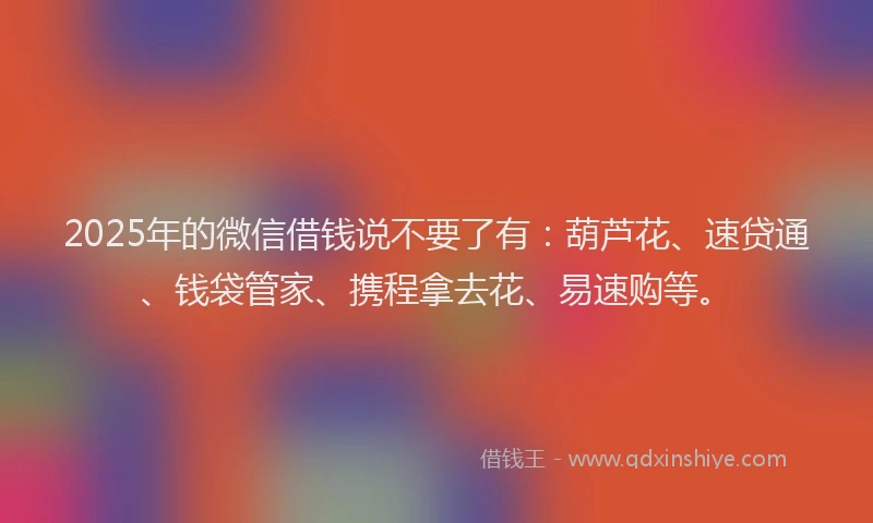 2025年的微信借钱说不要了有：葫芦花、速贷通、钱袋管家、携程拿去花、易速购等。