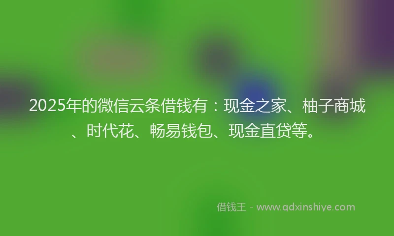 2025年的微信云条借钱有：现金之家、柚子商城、时代花、畅易钱包、现金直贷等。