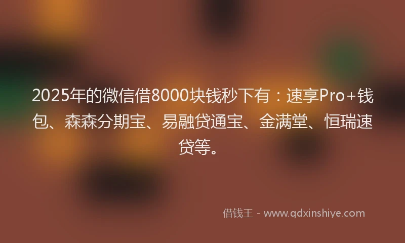 2025年的微信借8000块钱秒下有：速享Pro+钱包、森森分期宝、易融贷通宝、金满堂、恒瑞速贷等。