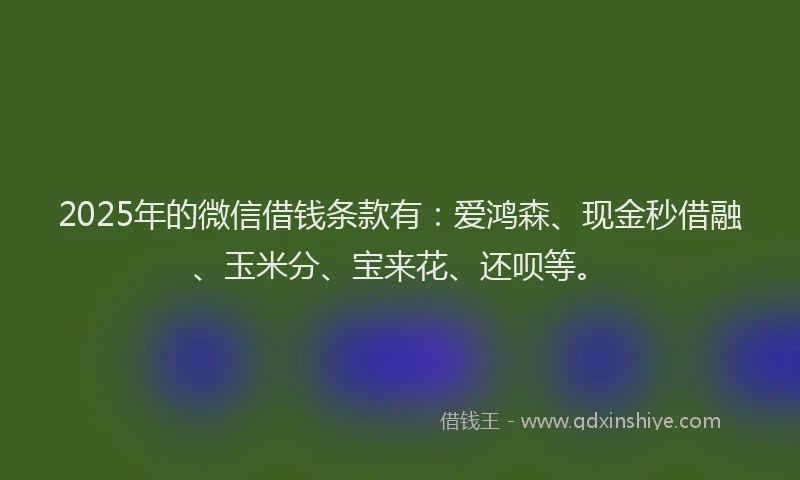 2025年的微信借钱条款有：爱鸿森、现金秒借融、玉米分、宝来花、还呗等。