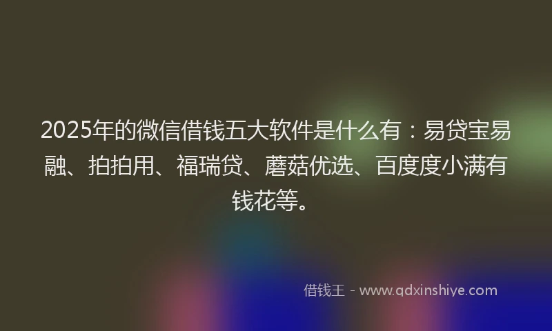 2025年的微信借钱五大软件是什么有：易贷宝易融、拍拍用、福瑞贷、蘑菇优选、百度度小满有钱花等。