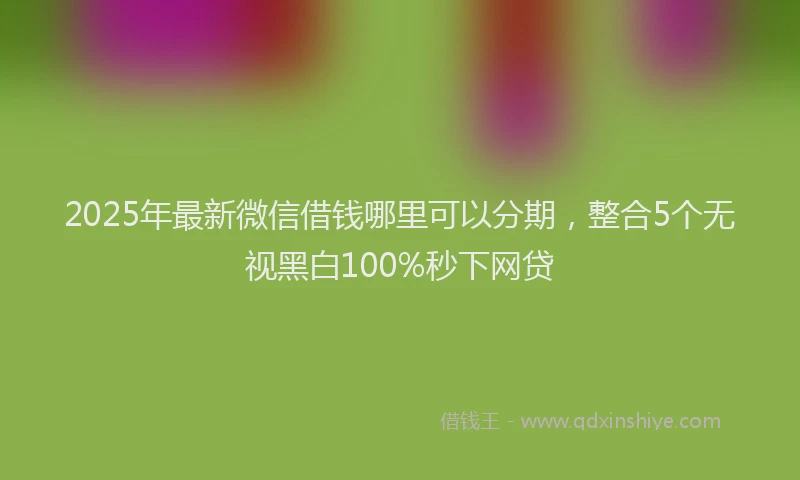 2025年最新微信借钱哪里可以分期，整合5个无视黑白100%秒下网贷