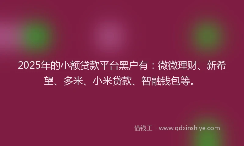 2025年的小额贷款平台黑户有：微微理财、新希望、多米、小米贷款、智融钱包等。