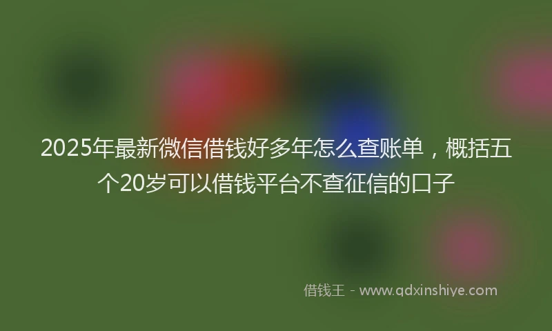 2025年最新微信借钱好多年怎么查账单，概括五个20岁可以借钱平台不查征信的口子