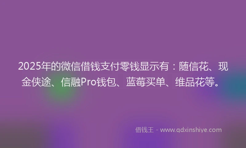 2025年的微信借钱支付零钱显示有：随信花、现金侠途、信融Pro钱包、蓝莓买单、维品花等。