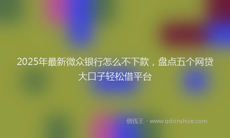2025年最新微众银行怎么不下款，盘点五个网贷大口子轻松借平台