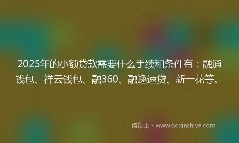 2025年的小额贷款需要什么手续和条件有：融通钱包、祥云钱包、融360、融逸速贷、新一花等。