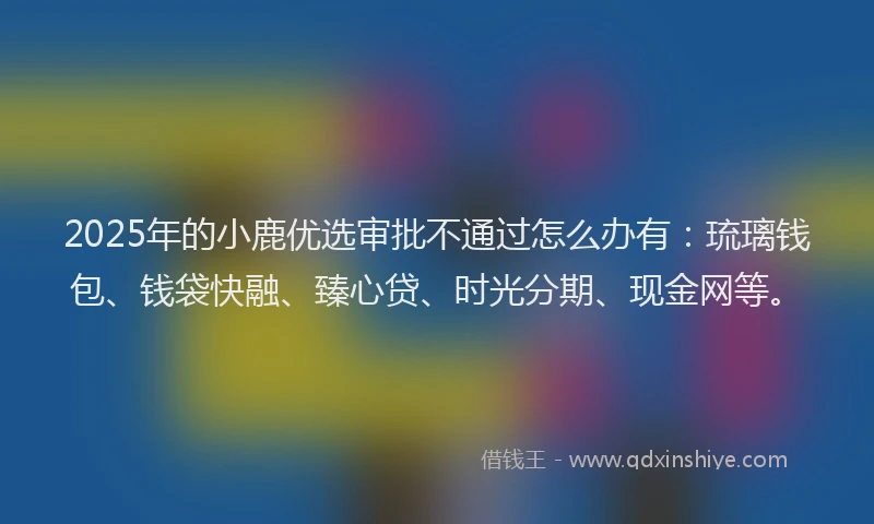 2025年的小鹿优选审批不通过怎么办有：琉璃钱包、钱袋快融、臻心贷、时光分期、现金网等。