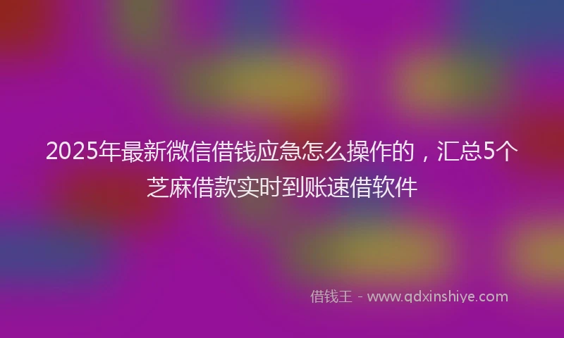 2025年最新微信借钱应急怎么操作的，汇总5个芝麻借款实时到账速借软件